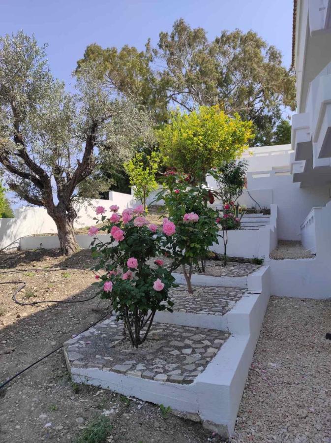 Arocaria - Faliraki Peaceful Apartments Exteriör bild