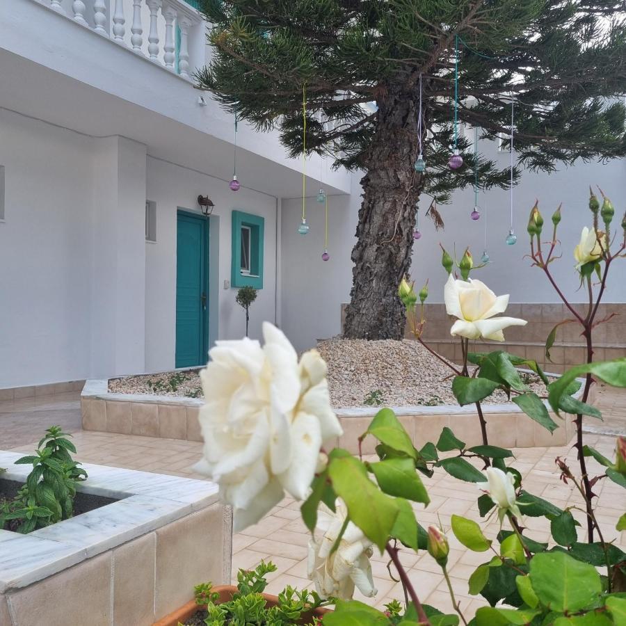 Arocaria - Faliraki Peaceful Apartments Exteriör bild
