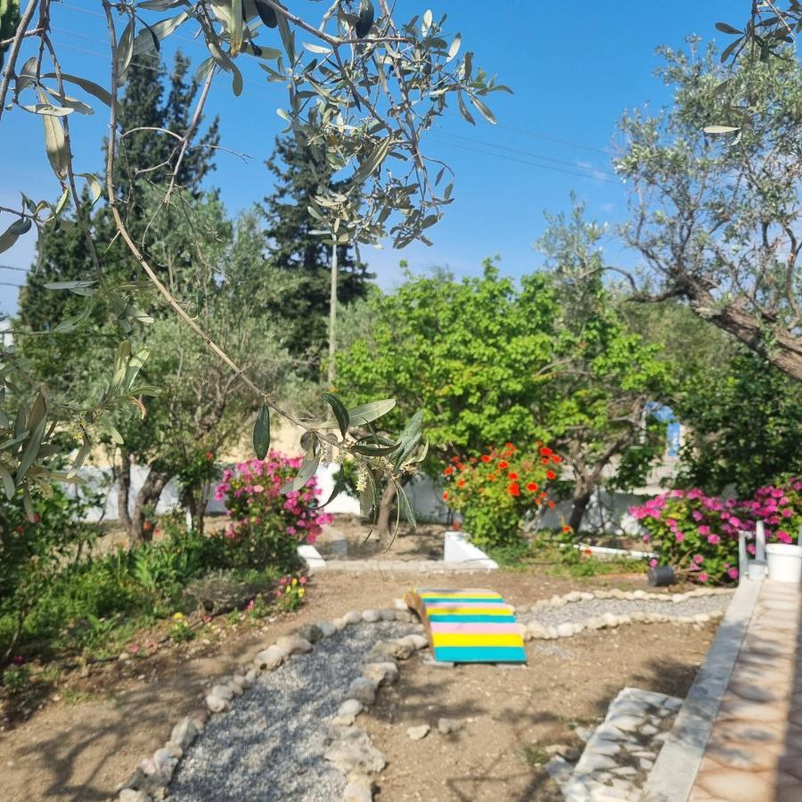 Arocaria - Faliraki Peaceful Apartments Exteriör bild